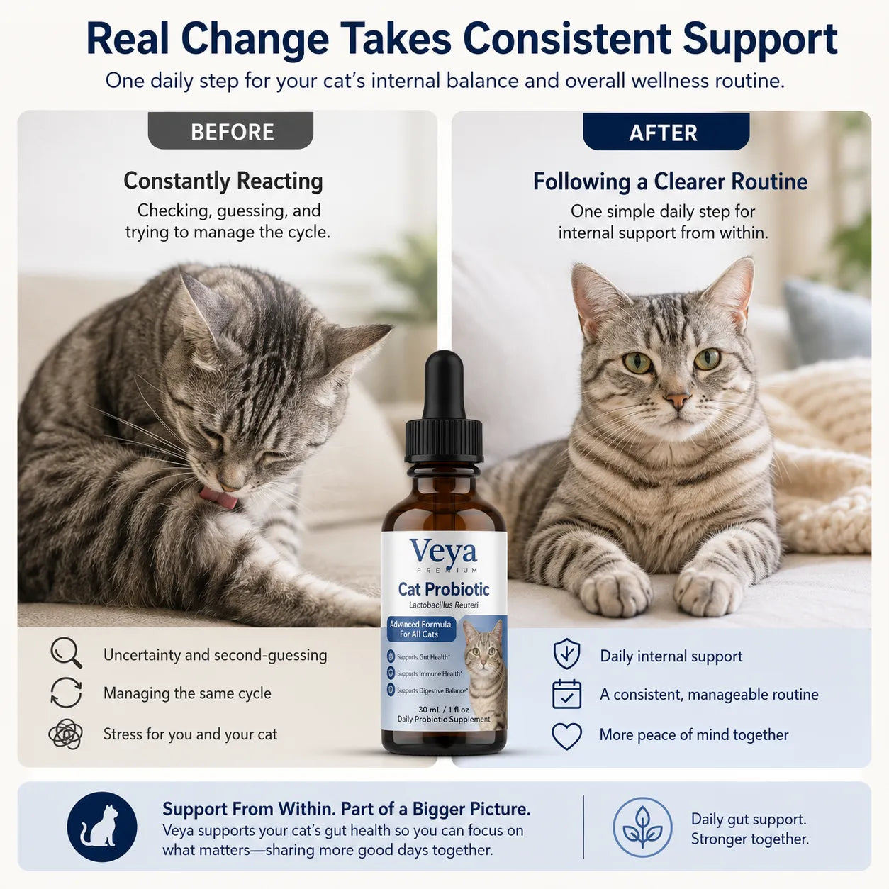 Veya™ PurrBalance